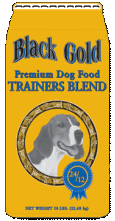Trainers Blend