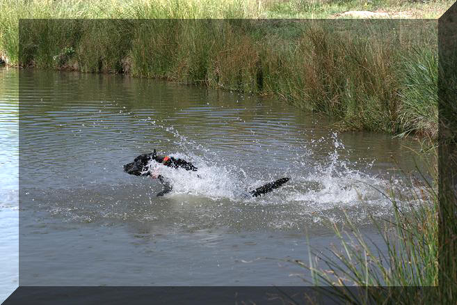 Rosco having fun
