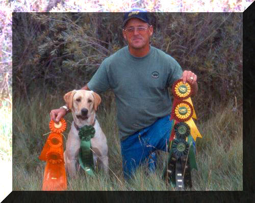Jakes ribbons