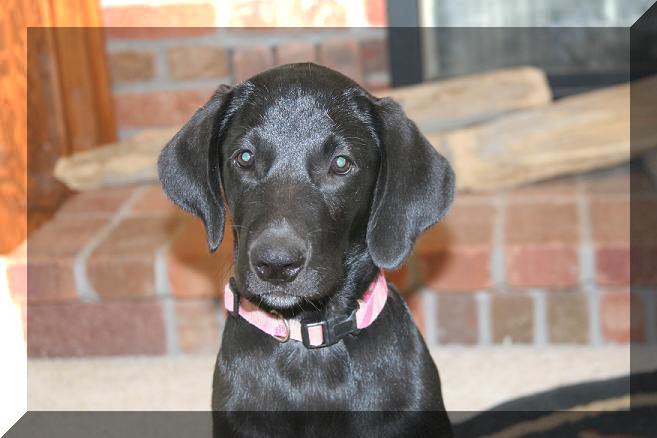 Tessa @ 12 weeks