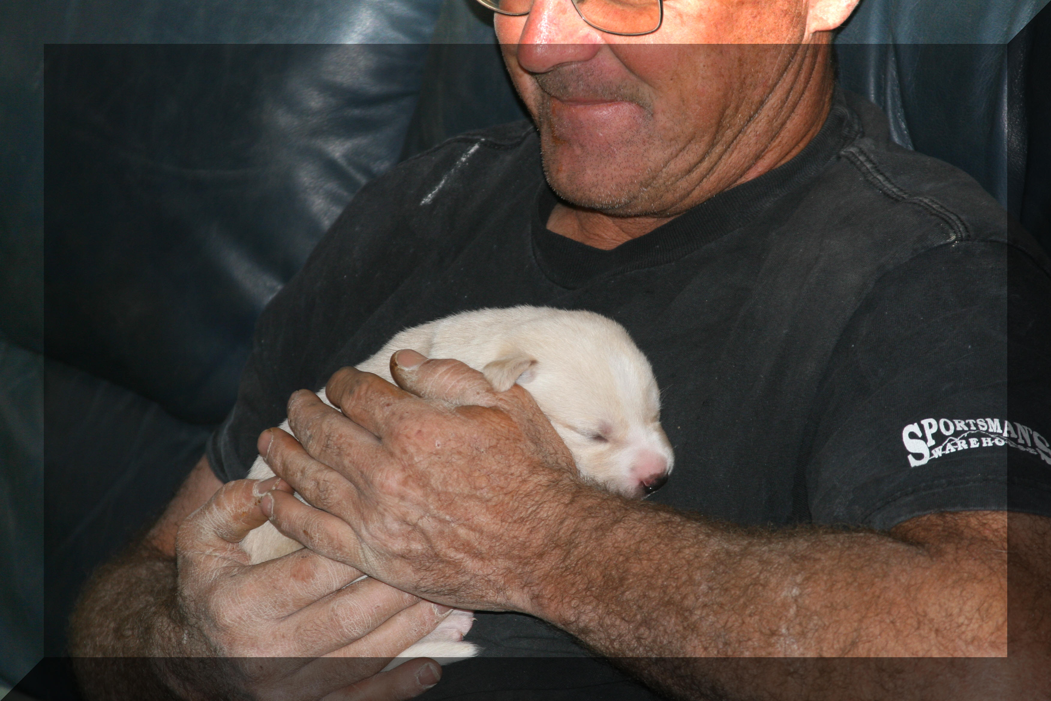 Kevin and Blaze