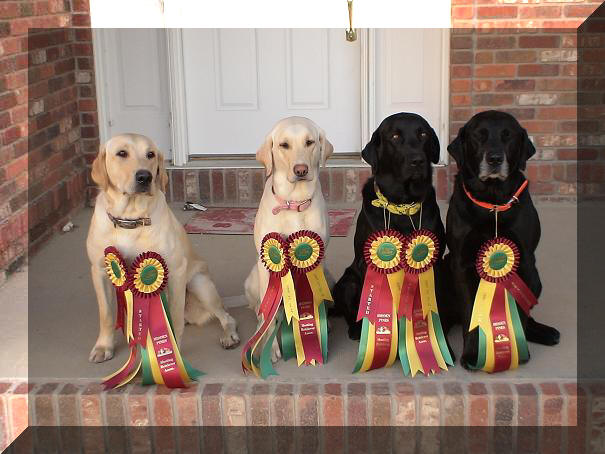 HRC Ribbons