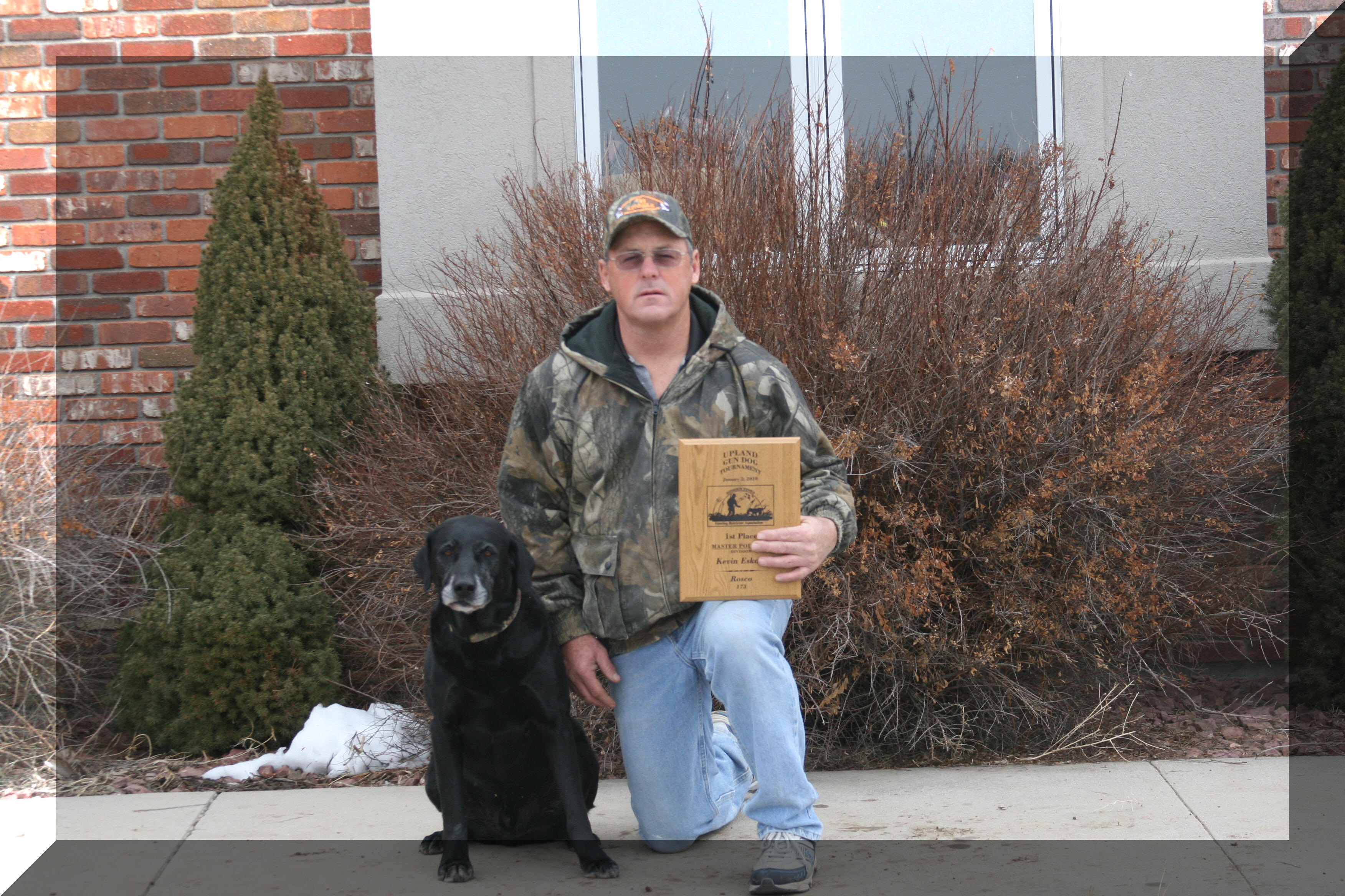 Rosco 1st place upland gundog tournament