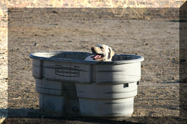 Chelsea trying to stay cool