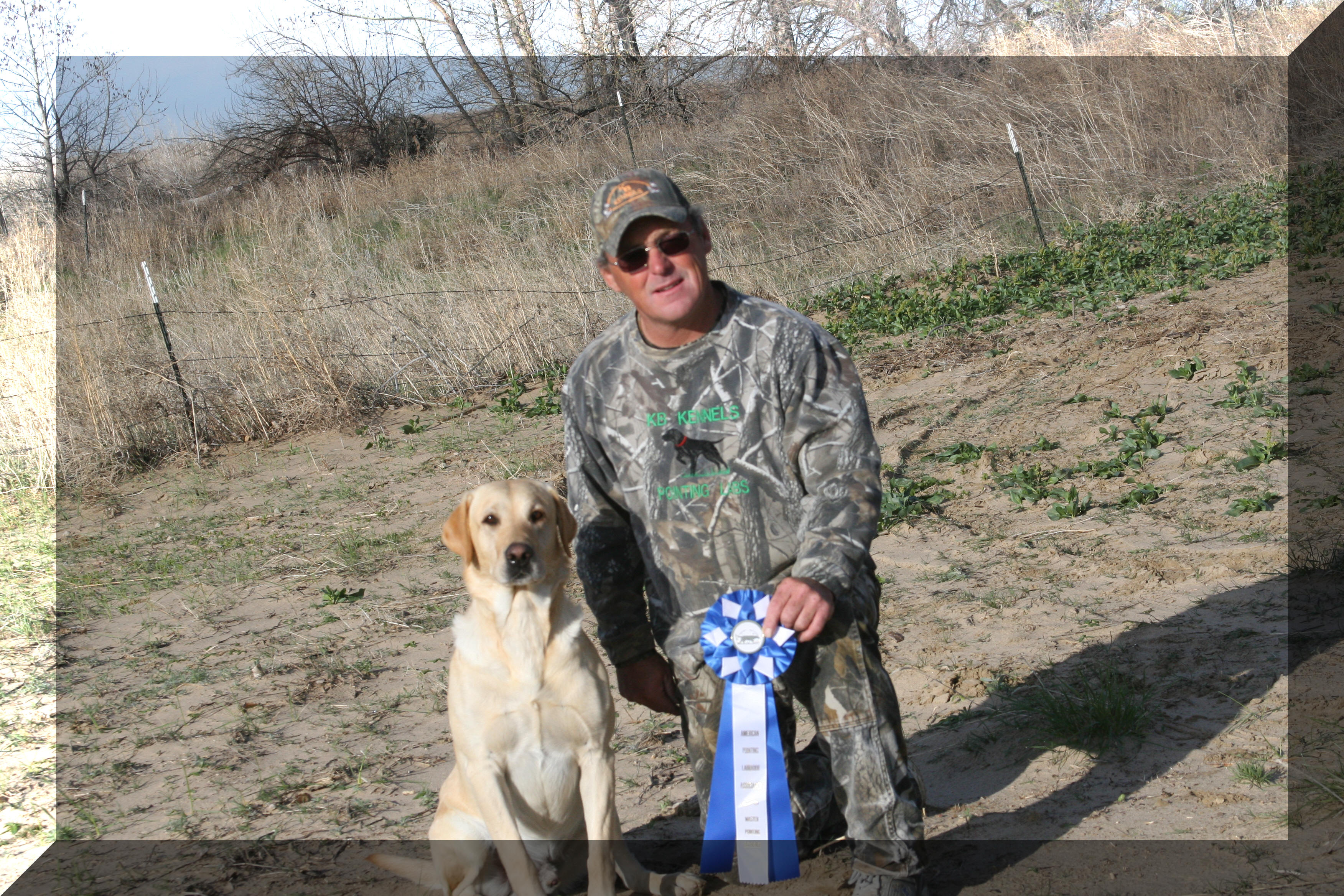 Jake APLA Master pointing retriever title