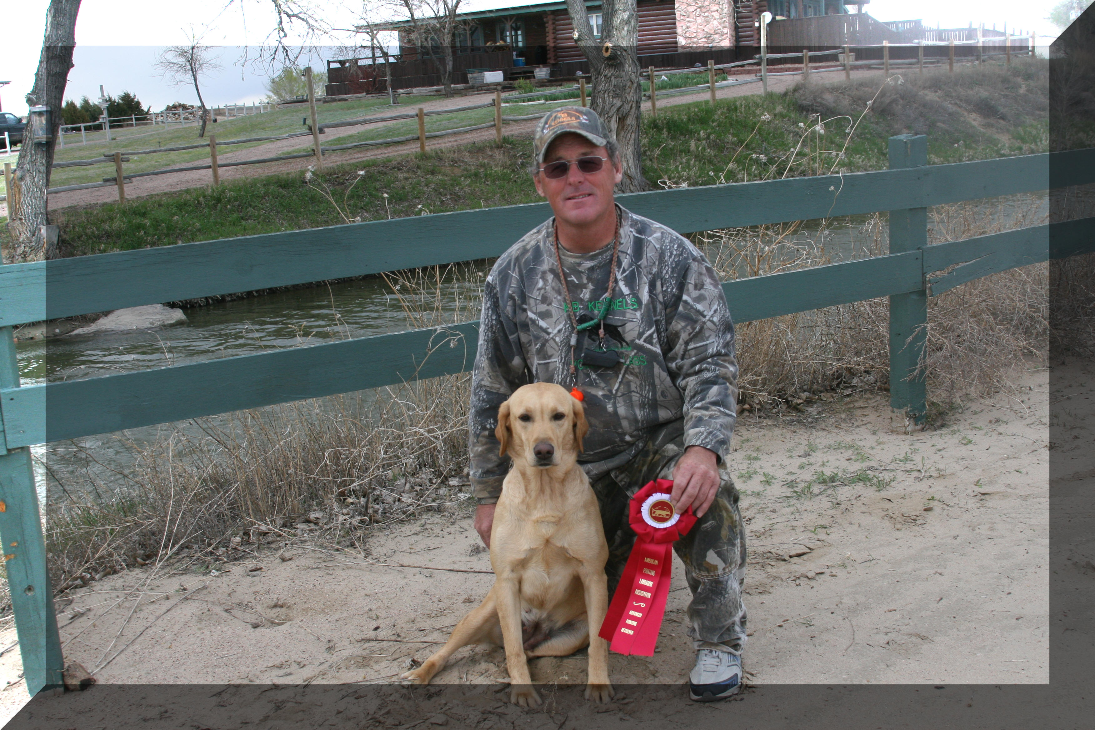 Star APLA Advanced pointing retriever title