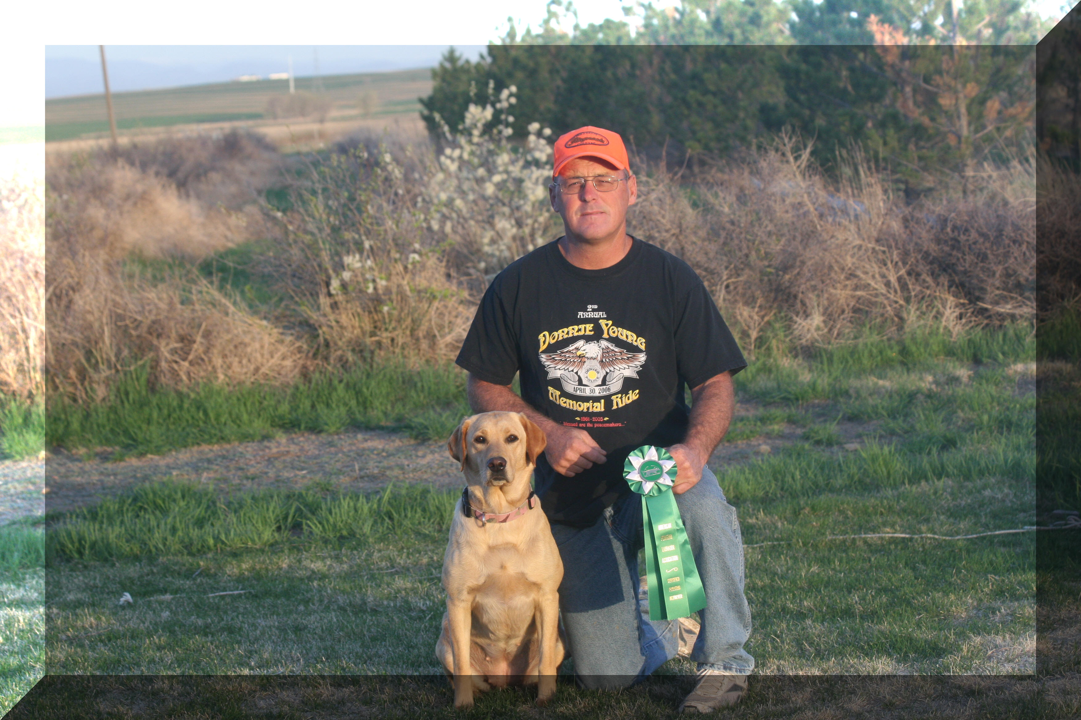 Star APLA Master pointing retriever title